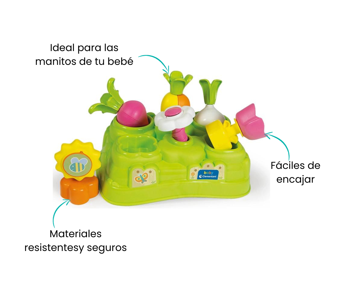 Características