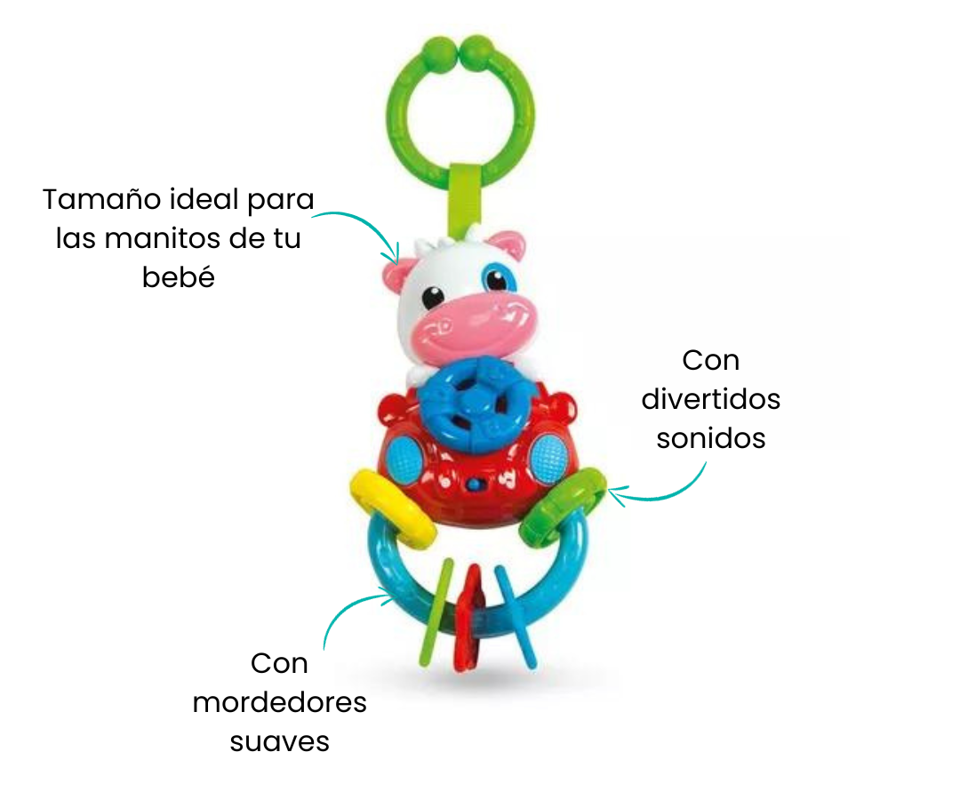 Características
