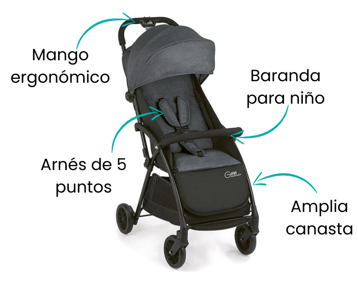 Características