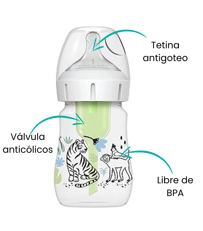 Características