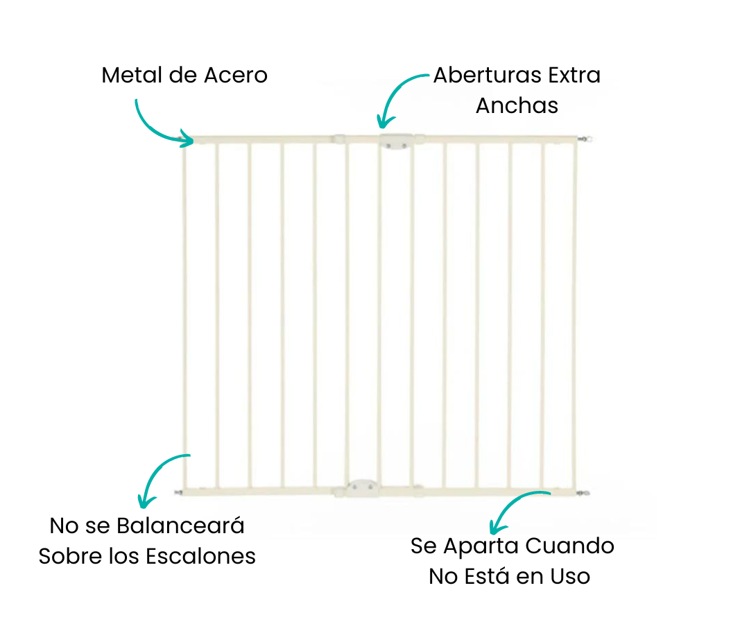 Características