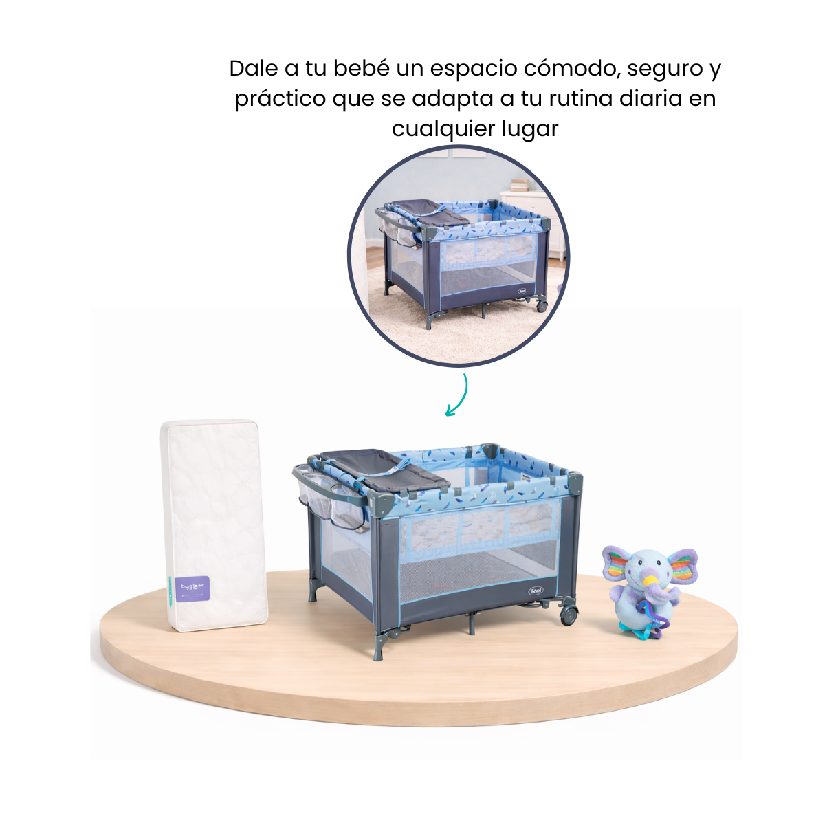 Finalidad