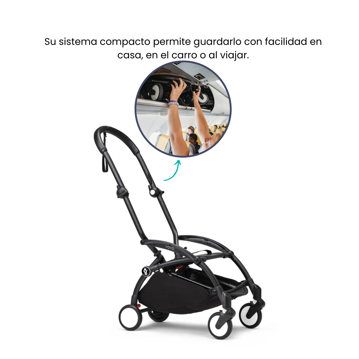 Finalidad