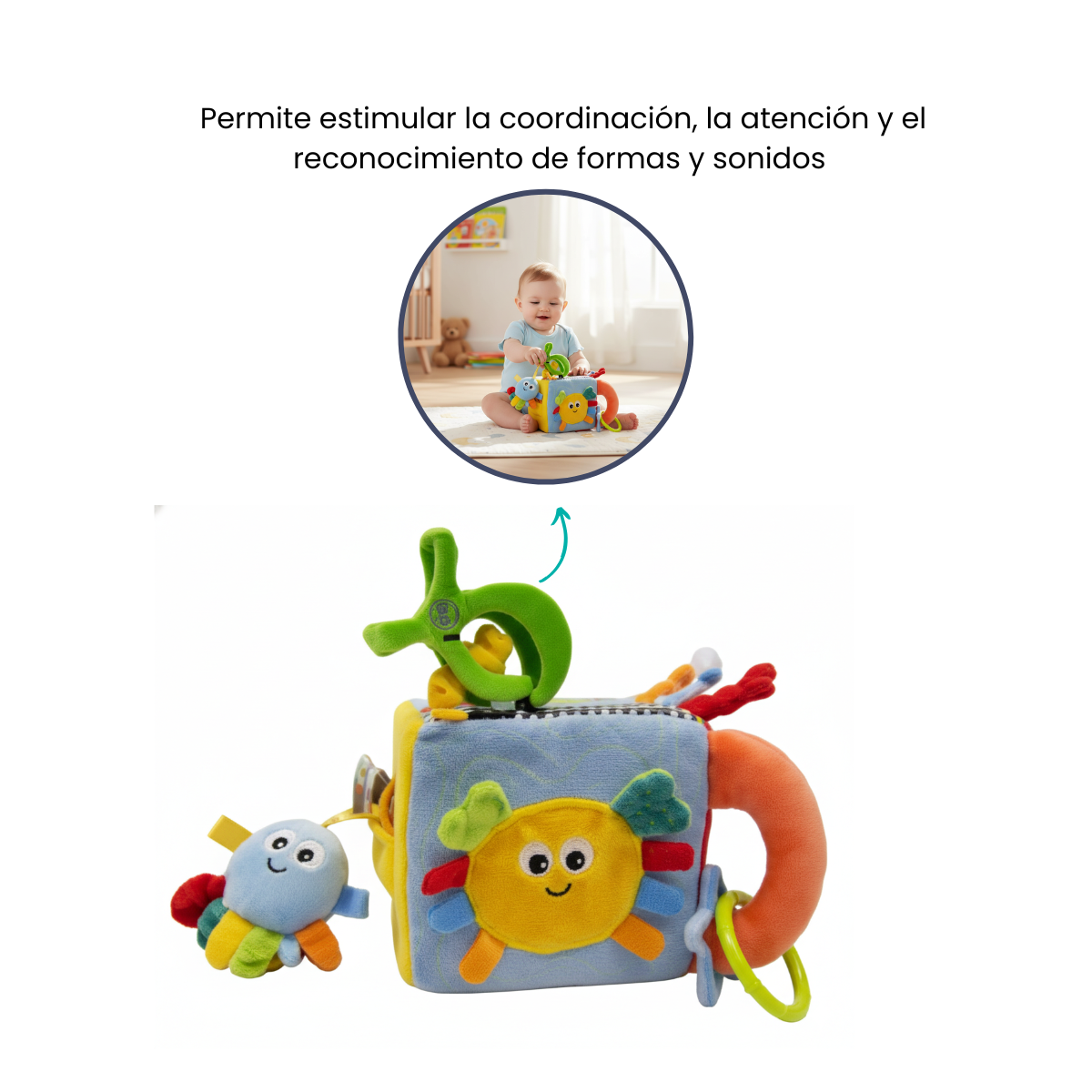 Finalidad