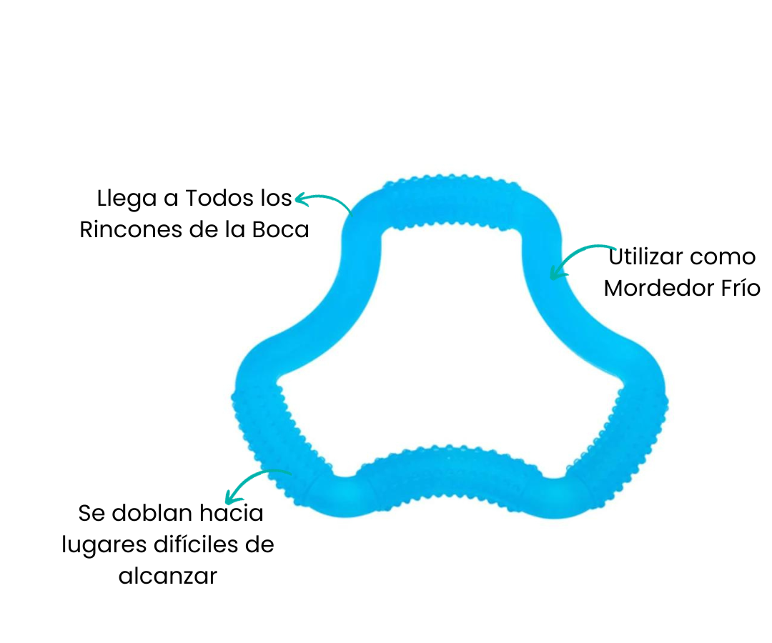 Características