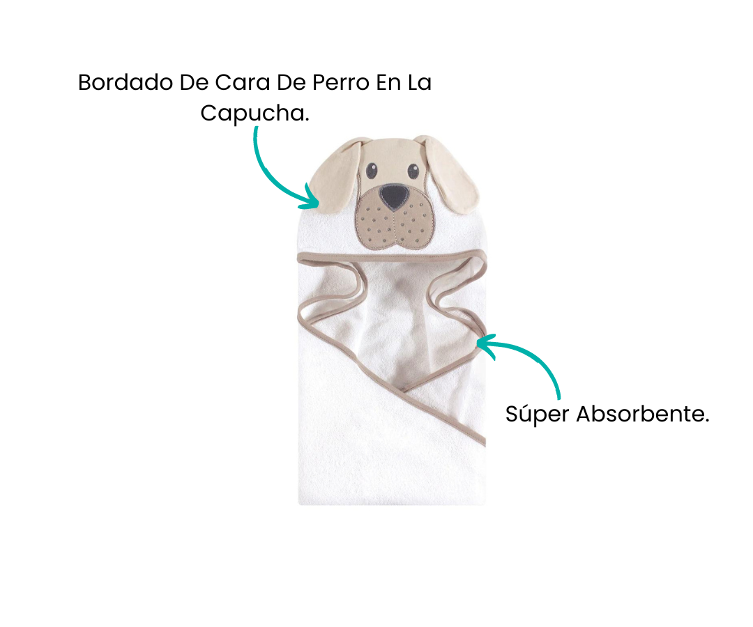 Características