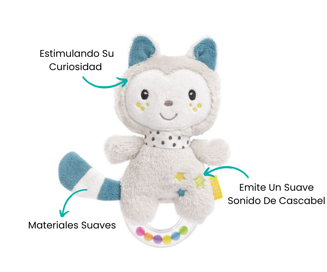 Características
