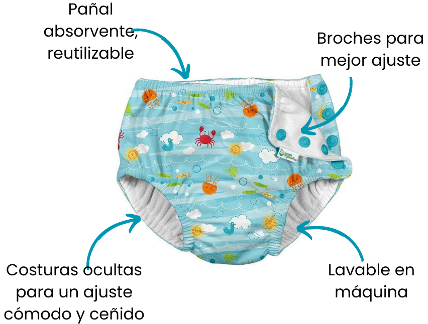 Características