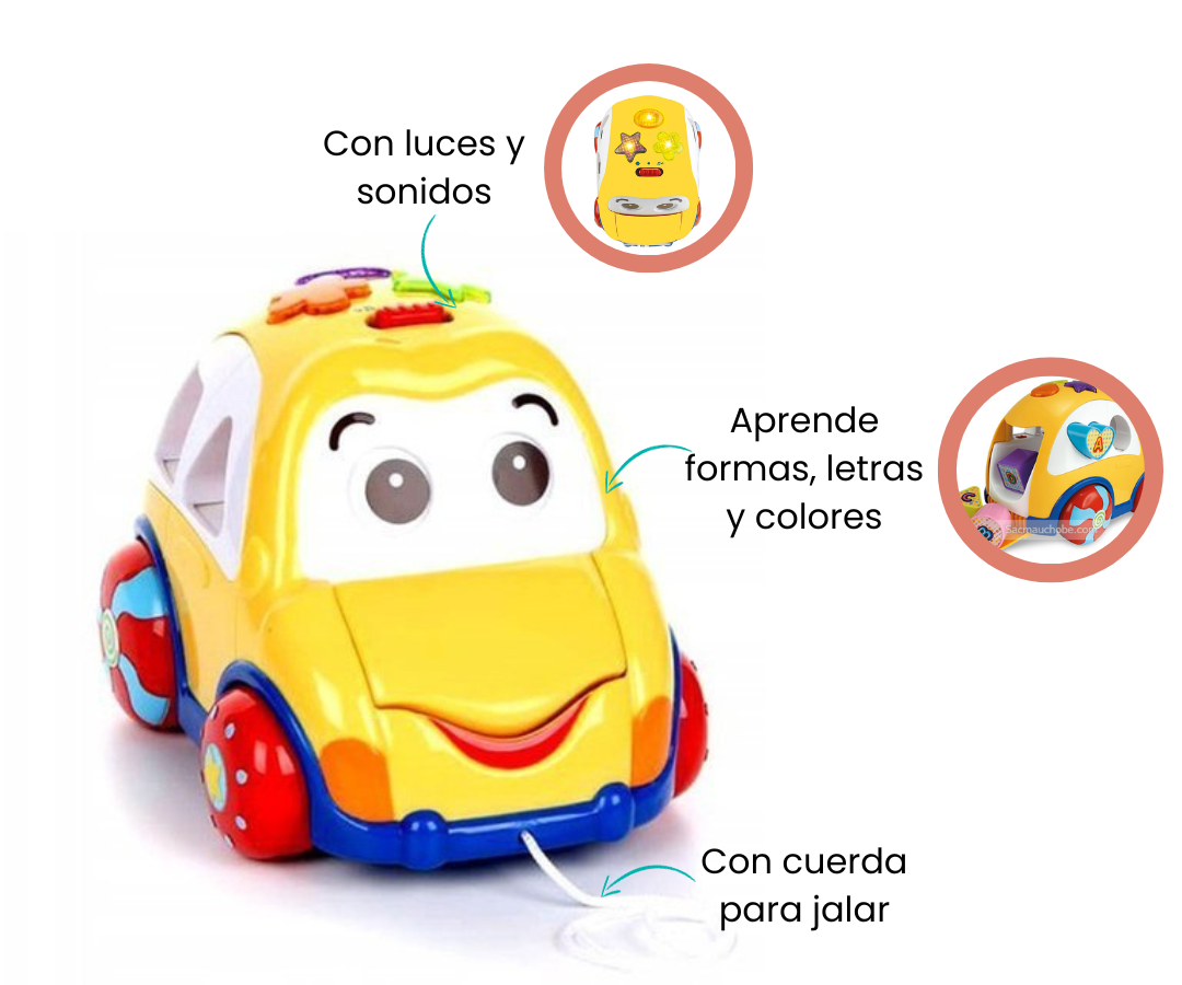 Características