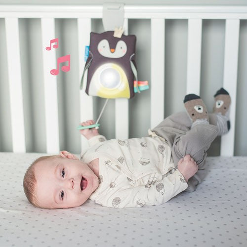 MORDEDOR /PRINCE THE PENGUIN BABY SOOTHER